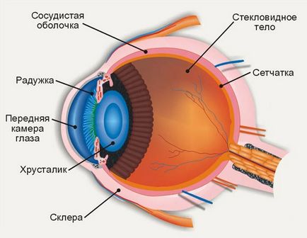 Око як оптична система