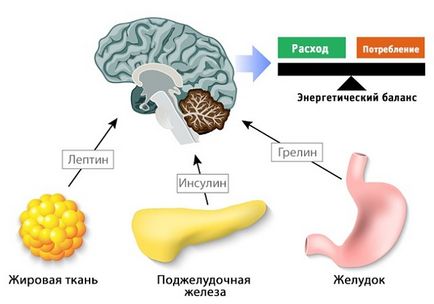 Foamea inainte de menstruatie, foamea in timpul menstruatiei, un sentiment constanta de foame inainte de menstruatie,