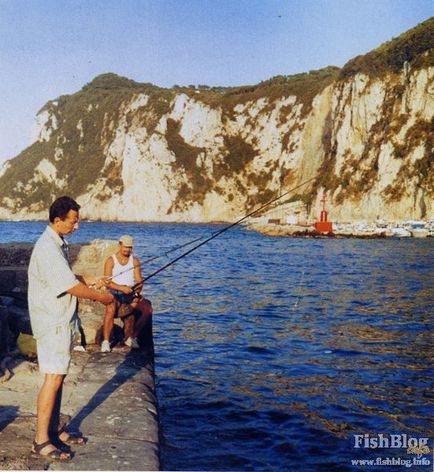 Обапола краще ловити в сутінках - онлайн-газета про риболовлю