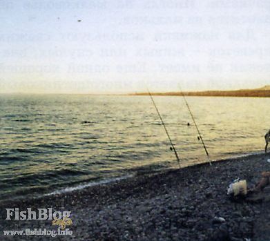 Обапола краще ловити в сутінках - онлайн-газета про риболовлю