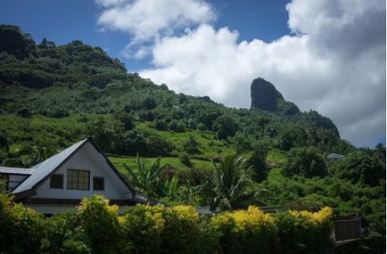 Munții, plajele și perlele ca persoană rusă trăiesc în Tahiti - divertisment