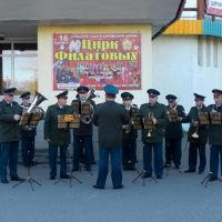 Redstart este o pasăre mică, cu coadă roșie - moschei falcons