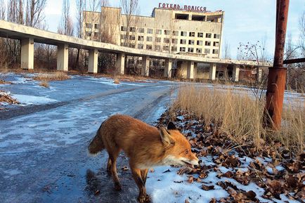 Turul orașului Ghost din Zona de Excludere de la Cernobîl 30 de ani mai târziu