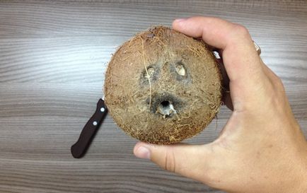 Grota de nucă de cocos cu mâinile tale