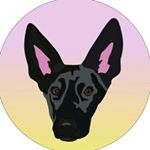 Instagram câine kulebyaka jolinar jolinar_ofmalkshur vizualizator de fotografii online