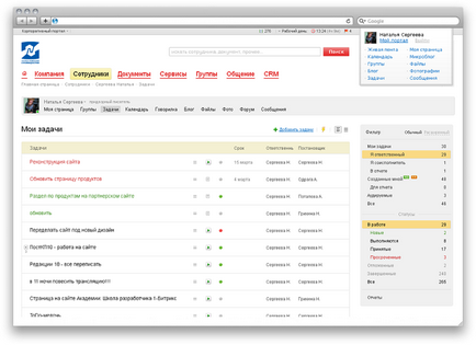 Portal intranet, crearea site-ului intern al companiei, intranet al portalului corporativ