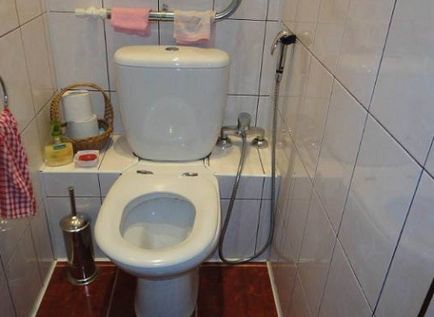 Використання гігієнічного душа в туалеті - суцільні плюси