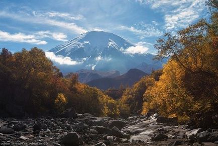 Історія абортів, здоров'я і медицина