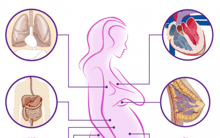 Schimbarea corpului unei femei în timpul sarcinii
