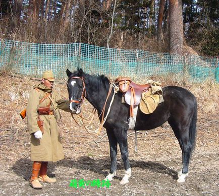 Papusi japoneze - cavalerie japoneza