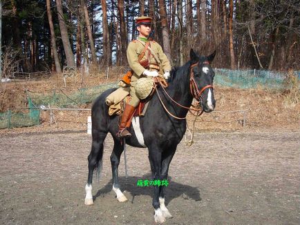 Papusi japoneze - cavalerie japoneza