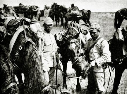 Papusi japoneze - cavalerie japoneza