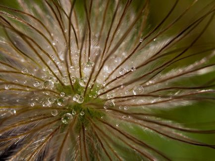 Cum se fac macro-uri