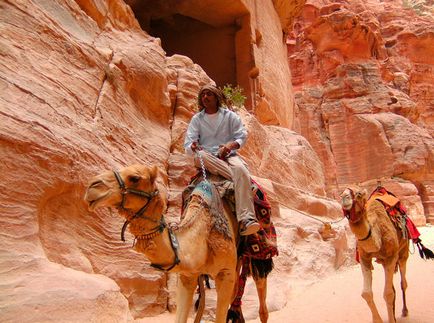 Cum să ajungi de la Eilat la Petra și cât va costa