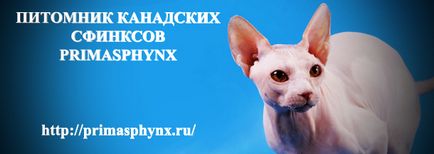 Cum să flayhold - medicina veterinară - catalogul de articole - alianța sphinx - forum (saf)