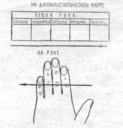 Які по пальцевим відбитками виводяться формули і для чого - реферат, сторінка 1