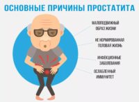 Як використовувати лушпиння цибулі на дачі