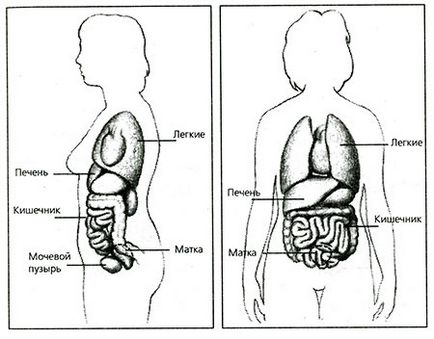 Як змінюється тіло під час вагітності