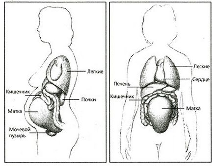 Cum se schimbă corpul în timpul sarcinii