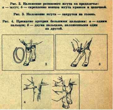 Cum se trateaza ranile animalelor, medicina veterinara