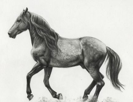 Як намалювати коня зможе кожен!