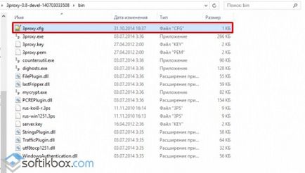 Cum se configurează un server proxy pe Windows 10