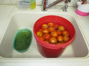 Як на зиму засолити помідори в відрі особливості засолювання зелених помідор в відрі, кращі рецепти і