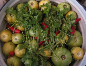 Як на зиму засолити помідори в відрі особливості засолювання зелених помідор в відрі, кращі рецепти і