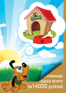 Hogyan vonat egy Border Collie terelés birka (juh) Hogyan vonat egy Border Collie terelő juhokat