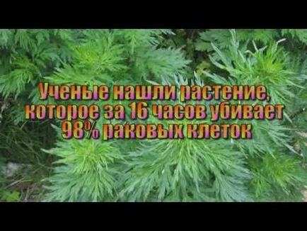 Как да се определи времето, докато слънцето залезе с пръстите на ръцете