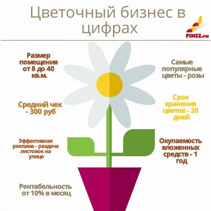 Як відкрити квітковий магазин з нуля бізнес план з розрахунками