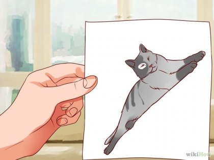 Як перестати боятися кішок