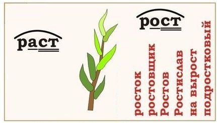 Як пишеться правильно паросток або РастОК