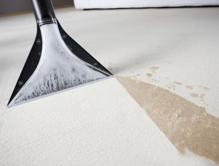 Hogyan tisztítsa meg a szőnyeget otthon - 7 Ways