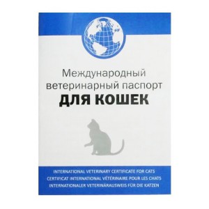 Як підготуватися до виставки кішок