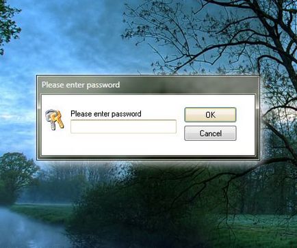 Cum se pune parola pentru a porni programul