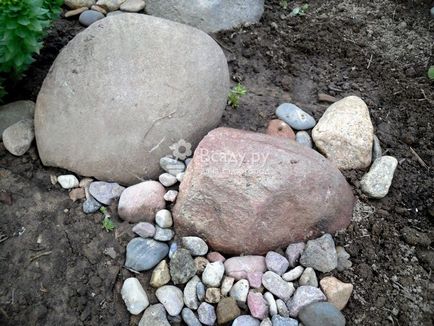 Як правильно розташувати камені в рокарії
