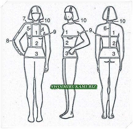 Як правильно зняти мірки з фігури