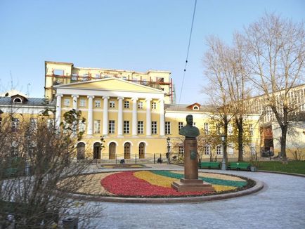 Hogyan válasszuk ki és használata dekoratív schepu- talajtakaró helyben