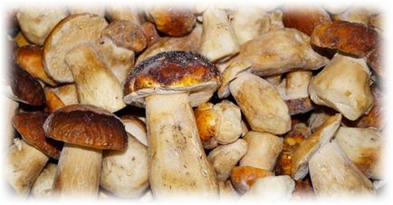 Як правильно зберігати солоні гриби в домашніх умовах