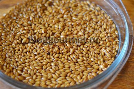 Як проростити пшеницю для їжі в домашніх умовах