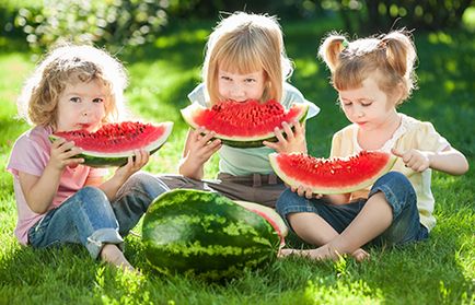 Hogyan lehet ellenőrizni a görögdinnye nitrátok az otthon, a vegetarianizmus enciklopédia