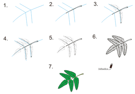 Cum de a desena un frunze de copac