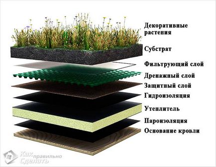 Як зробити газон на даху - особливості та монтаж