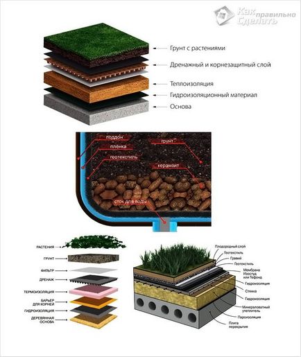 Як зробити газон на даху - особливості та монтаж