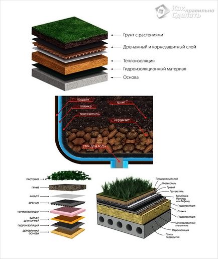Як зробити газон на даху, будуємо будинок самі
