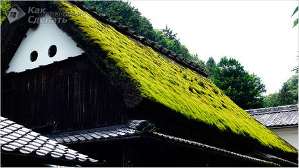 Як зробити газон на даху, будуємо будинок самі