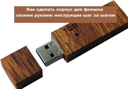 Cum de a face un caz pentru o unitate flash USB tu Instruire pas cu pas