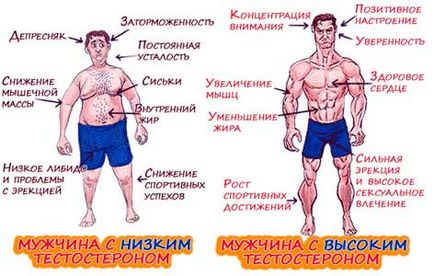 Як спорт впливає на гормони