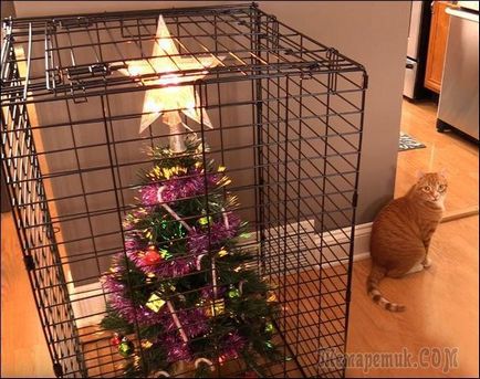 Cum să protejeze pomul de Crăciun de animalele de companie